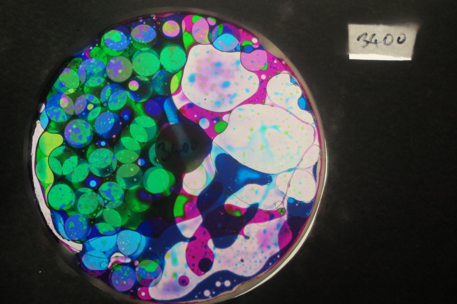 BV3400 bubble vision oil wheel